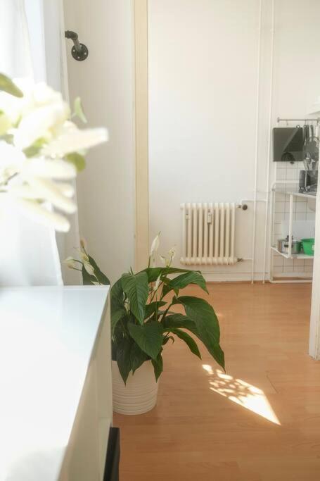 Stadtoase Wohnung Nahe Hauptbahnhof Koblenz  Buitenkant foto